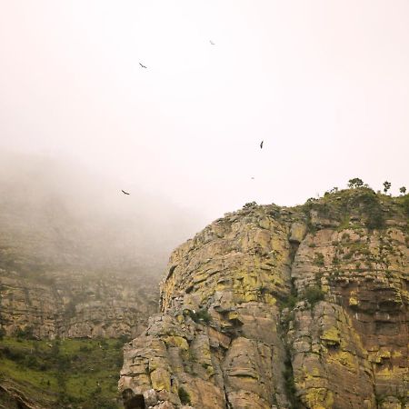 Cape Vulture Conservancy โฮดสปรูท ภายนอก รูปภาพ