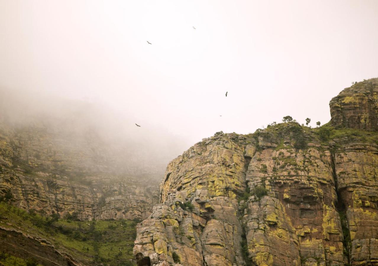 Cape Vulture Conservancy โฮดสปรูท ภายนอก รูปภาพ