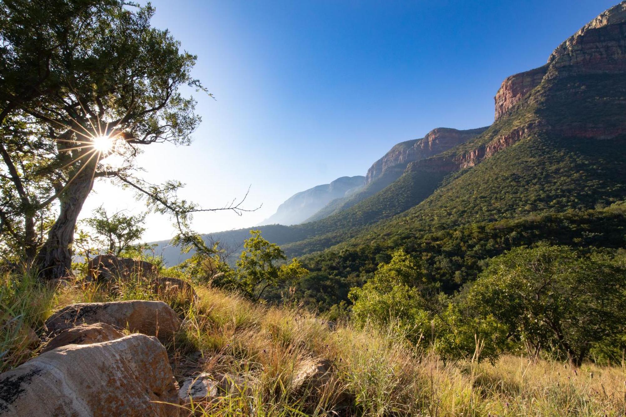 Cape Vulture Lodge โฮดสปรูท ภายนอก รูปภาพ
